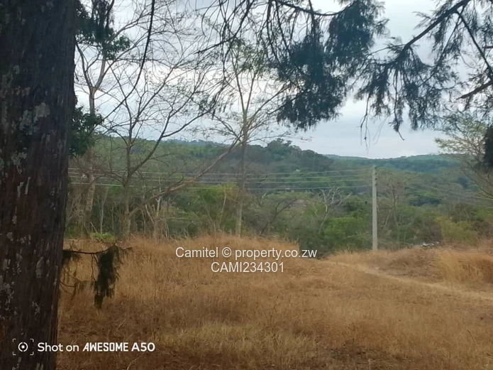 A good potential Investment