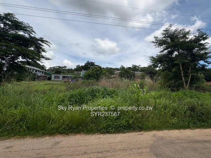 Stand for Sale – Carrick Creagh, Borrowdaleki