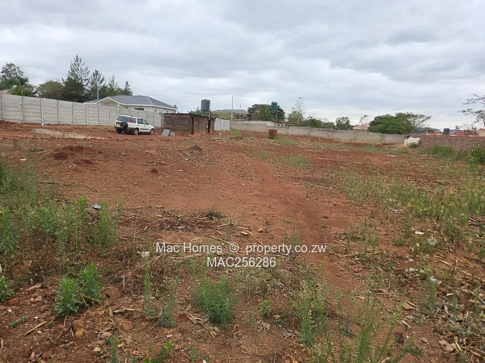 Ready to Build Stand for Sale