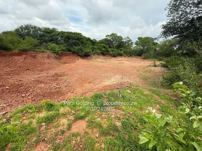 Lake View Development Stand