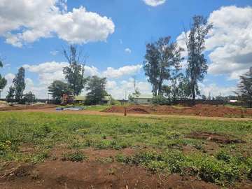 Stands & Residential Land