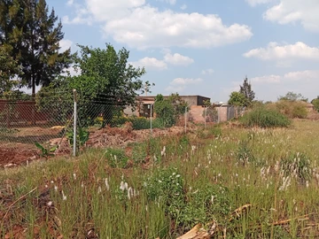 Stands & Residential Land