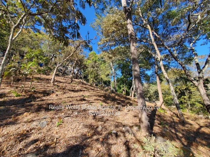 Residential Stand for Sale – Glen Lorne