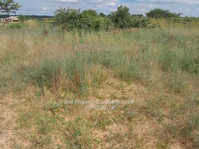 Nyabira Stand  (Sole Mandate)