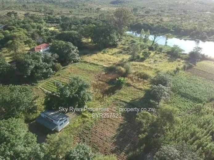 ?? Mguza River Estate 
