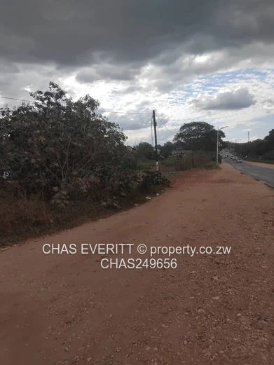 Prime Commercial Stand For Sale