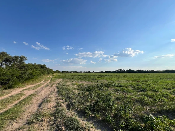 Farm & Agricultural Land