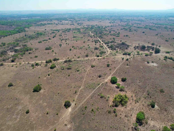 Farm & Agricultural Land