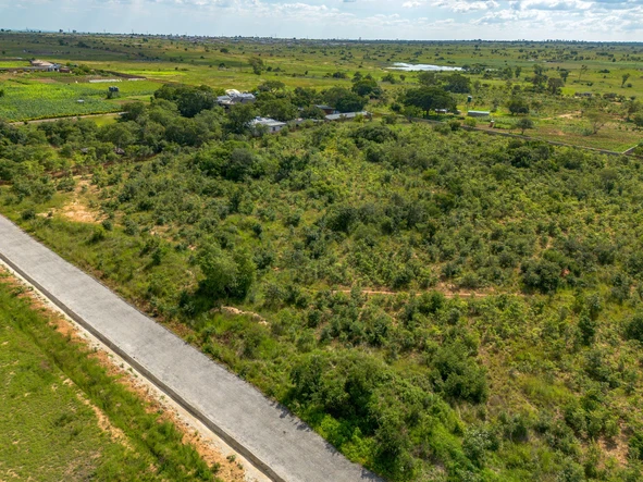 Farm & Agricultural Land