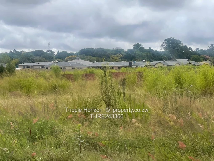 Stands Galore (Cluster development)