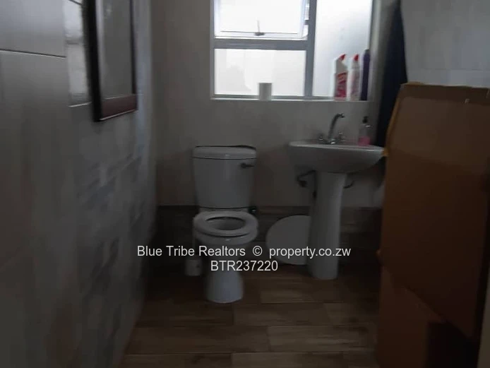 Commercial house to rent