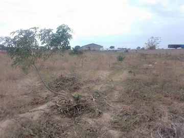 Commercial & Industrial Land