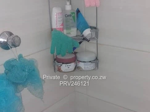 Neat detached 1bed wing to let in Avondale West - $550/month inclusive 