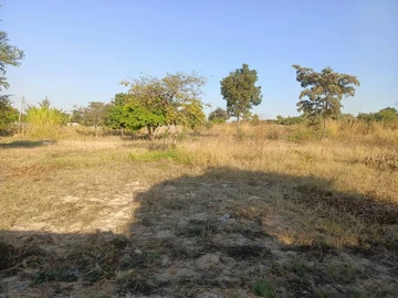 Land