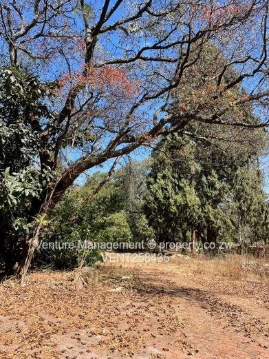Chisipite Land