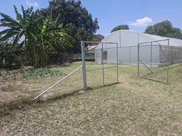 Stands & Residential Land