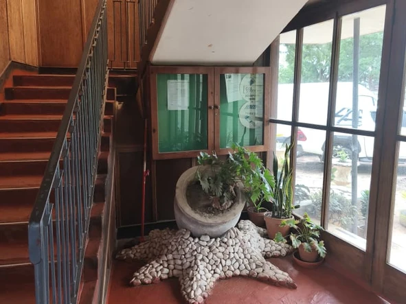 3 Bedroom Flat & Apartment