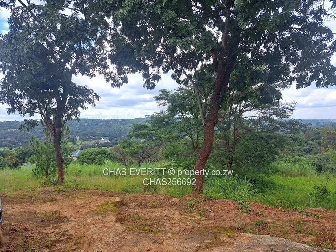 Spectacular Views! Build Your Dream Home.