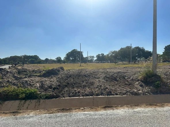 Stands & Residential Land
