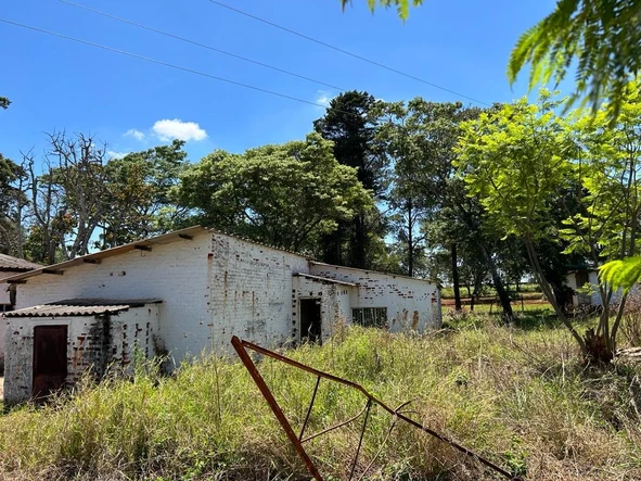 Farm & Agricultural Land