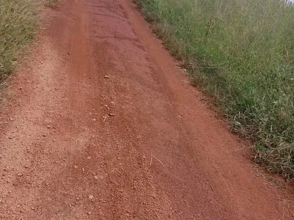 Farm & Agricultural Land