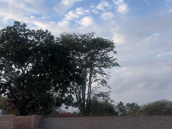 Land
