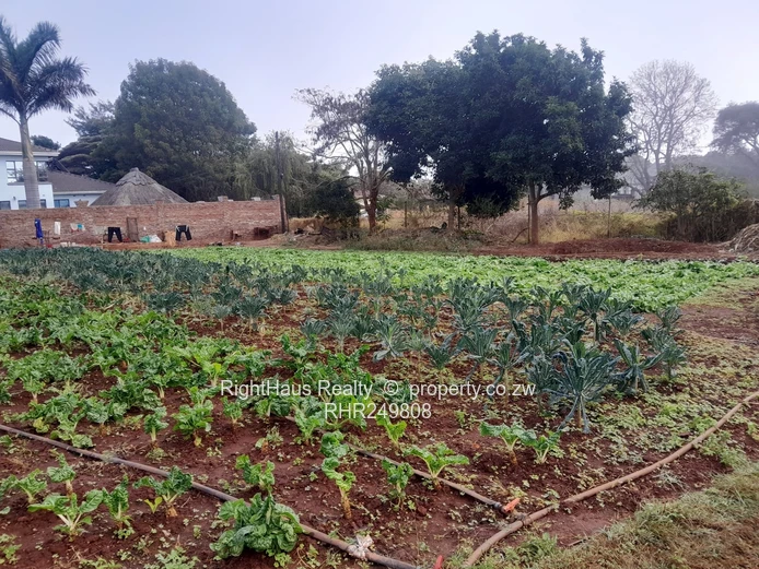 Ready to build with 3 bed cottage 