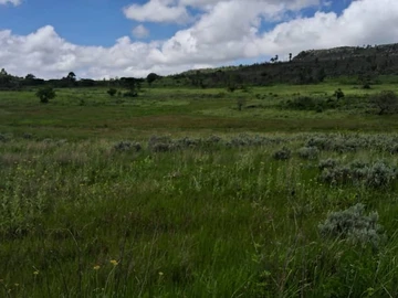 Farm & Agricultural Land