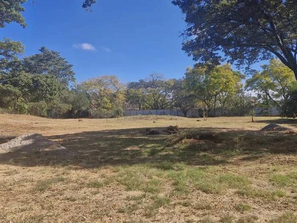 Stands & Residential Land