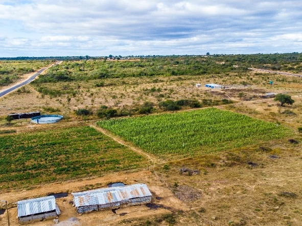 Stands & Residential Land
