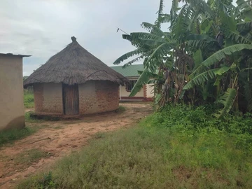 Farm & Agricultural Land