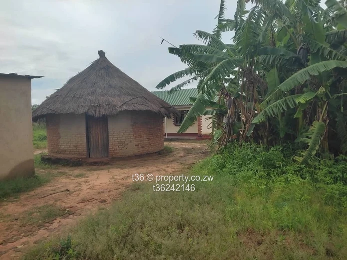 Beautiful musha for retirement and projects (Sole Mandate)