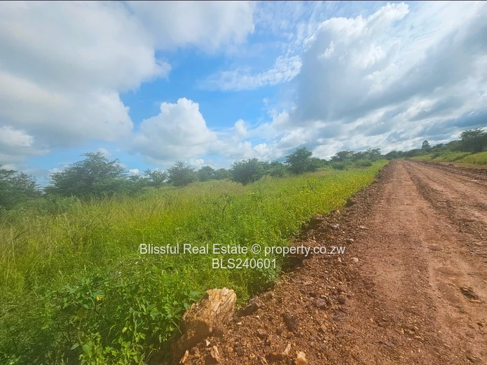 Stands for sale in Doornfontein 