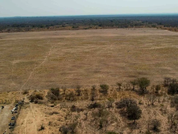 Farm & Agricultural Land