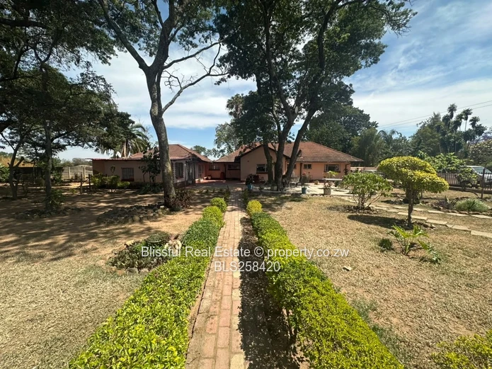 Gated 4-Bed Furnished House with Pool & Borehole, Hatfield