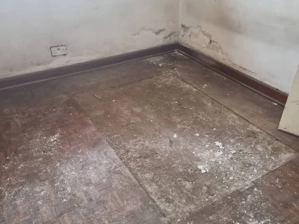 2 Bedroom Flat & Apartment