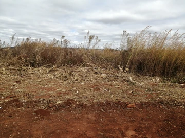 Bonda Nyamazi Mutasa Plot for sale 