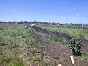 Stands & Residential Land