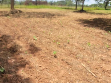 Farm & Agricultural Land