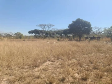 Farm & Agricultural Land