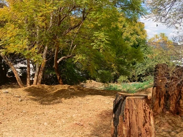 Stands & Residential Land