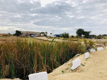 Farm & Agricultural Land