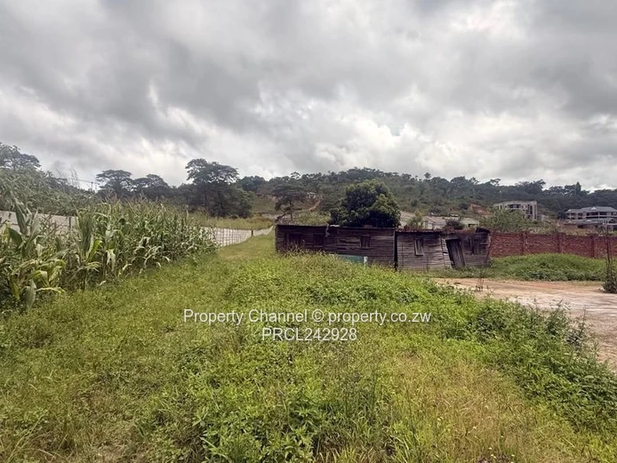 4,800m² Carrick Creagh Stand — Cleared Base & Water Tank