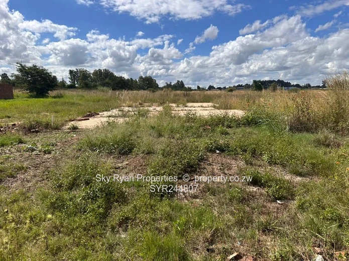 Cold Comfort Stand For Sale