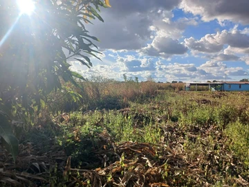 Commercial & Industrial Land