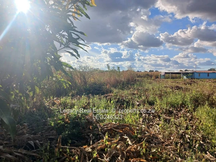 Dzivarasekwa Extension Commercial Stand For Sale – High Traffic Location