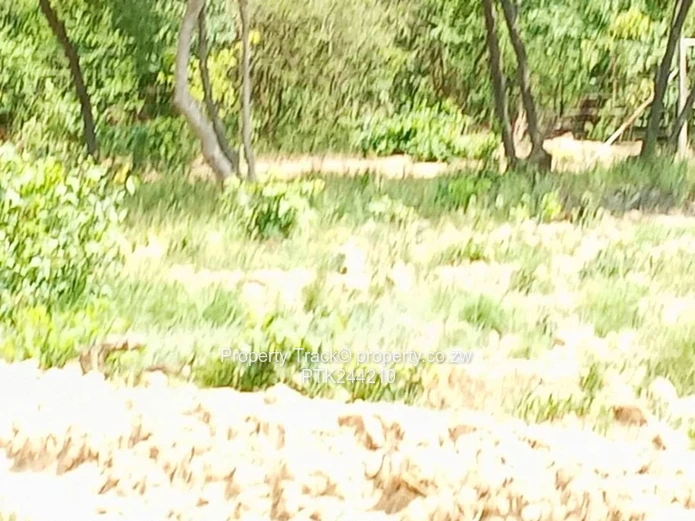 Agro-residential plot !! (Sole Mandate)