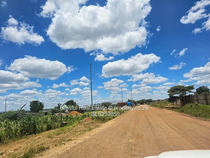 Stand for Sale in Zimre Park Extension