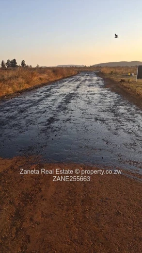 Spitzkop stand for sale