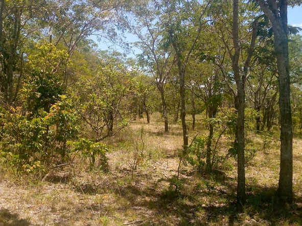 Farm & Agricultural Land